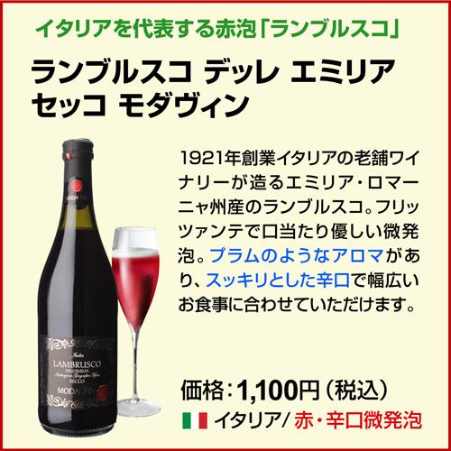 ワインセット スパークリング 12本 +2本 750ml 辛口泡だけ 特選