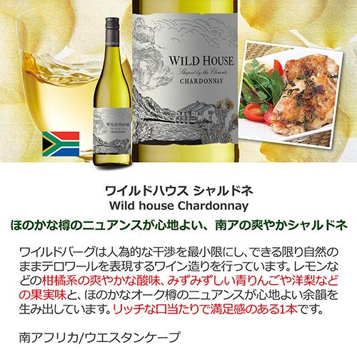送料無料 世界のシャルドネ 飲み比べ10本セット 30弾 白ワインセット