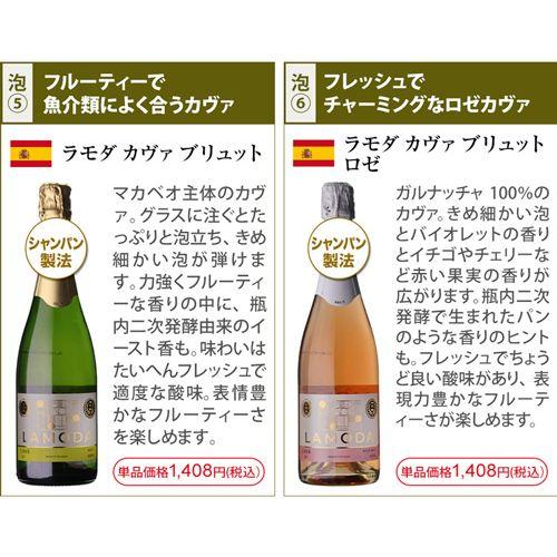 ワイン ワインセット 白 ロゼ泡 シャンパン製法入 スパークリング 16本