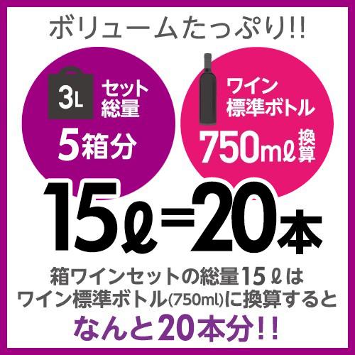 箱ワインセット 白ワインボックス 5種類の白箱 19弾 3l 3リットル 送料無料 長S 虎｜cellar｜07