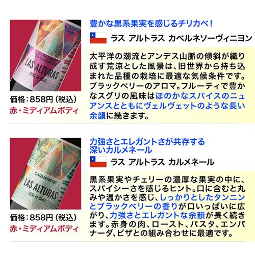 ワインセット 赤セット 赤だけ 特選 12本＋2本(計14本) 242弾 送料無料 イタリア フランス 浜運Aの画像