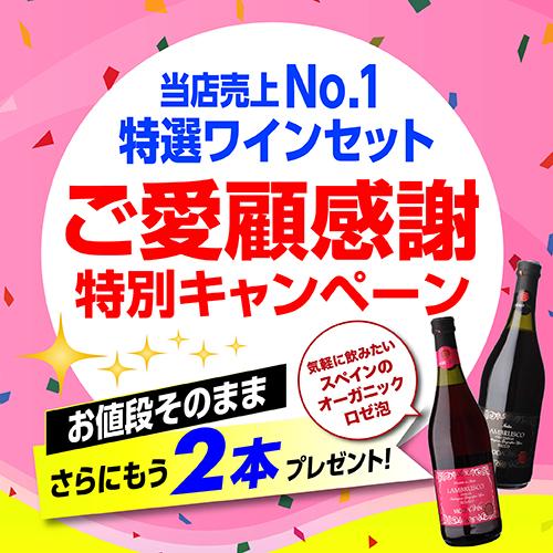 ワインセット 赤セット 赤だけ 特選 12本＋2本(計14本) 242弾 送料無料 イタリア フランス 浜運Aの画像