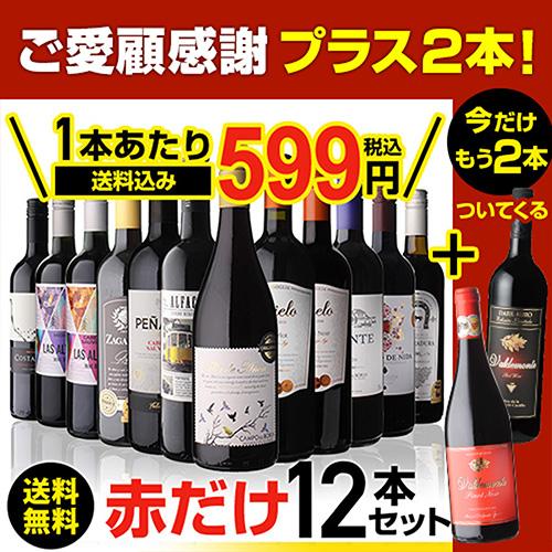 ワインセット 赤セット 赤だけ 特選 12本＋2本(計14本) 219弾 送料無料 イタリア フランス RSL あすつく ビッグボーナス｜cellar｜05