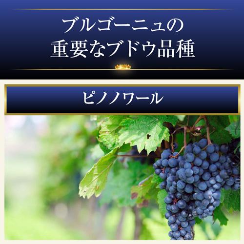 1本あたり3,980円(税込) 送料無料 渾身のブルゴーニュ赤4本セット 23弾