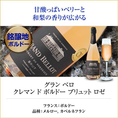 ワインセット 極上シャンパン入！仏産 シャンパン製法 スパークリング