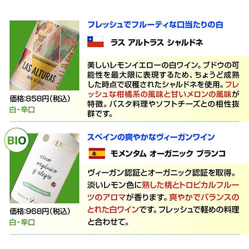 ワインセット 白セット 白だけ 特選 12本＋2本(計14本) 辛口 飲み比べ 194弾 送料無料 浜運Aの画像