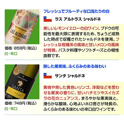 ワインセット 白セット 白だけ 特選 12本＋2本(計14本) 辛口 飲み比べ 165弾 送料無料 RSL あすつく ビッグボーナス｜cellar｜13