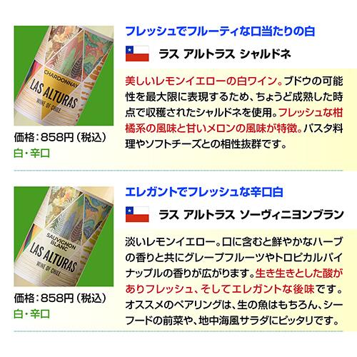 ワインセット 白セット 白だけ 特選 12本＋2本(計14本) 辛口 飲み比べ