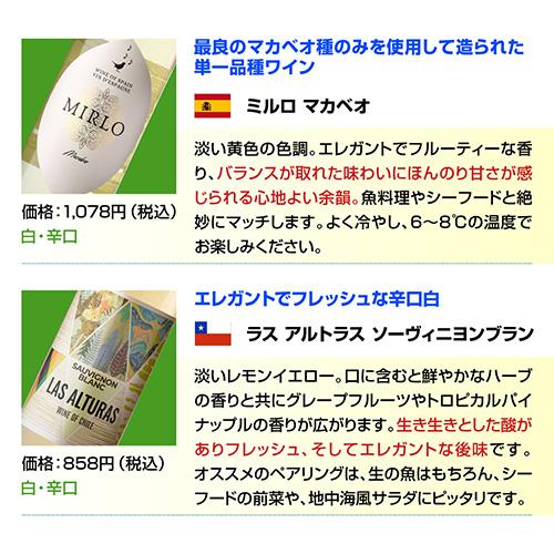 ワインセット 白セット 白だけ 特選 12本＋2本(計14本) 辛口 飲み比べ 194弾 送料無料 浜運Aの画像