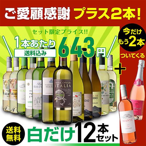 ワインセット 白セット 白だけ 特選 12本＋2本(計14本) 辛口 飲み比べ