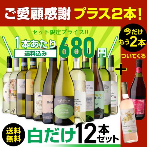 ワインセット 白セット 白だけ 特選 12本＋2本(計14本) 辛口 飲み比べ