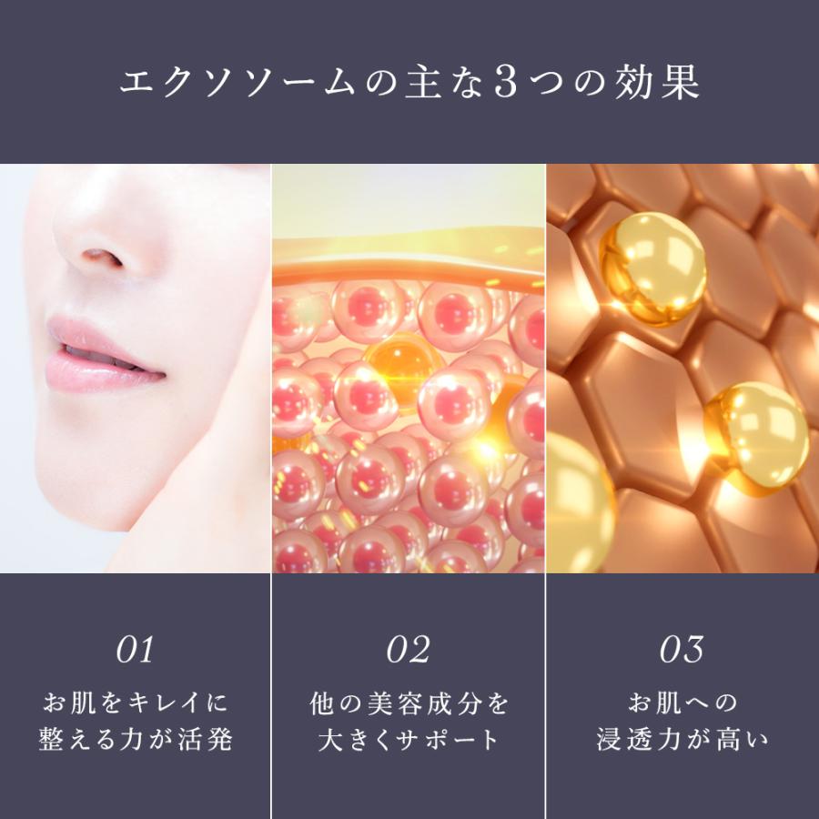 化粧水 幹細胞 エクソソーム 高配合 エイジングケア 保湿 ハリ セルコード ローション エクソリッチ 120ｍL 幹細胞培養液 乾燥肌 敏感肌 日本製 30代 40代 50代 | CELL CODE | 14