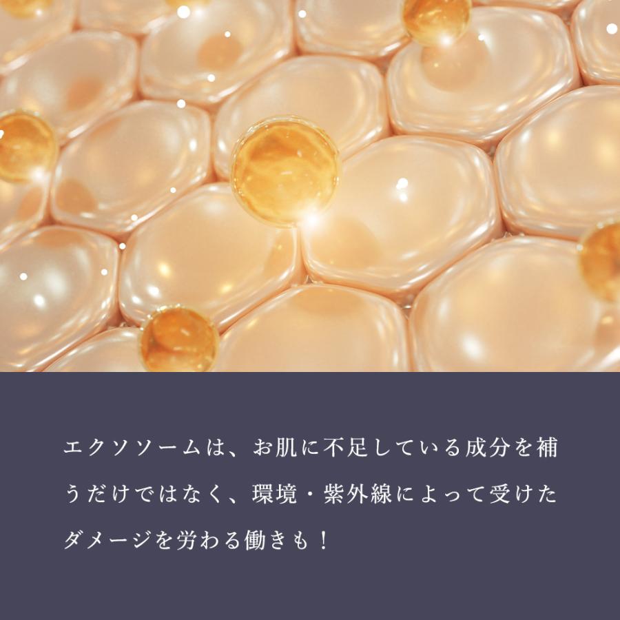 化粧水 幹細胞 エクソソーム 高配合 エイジングケア 保湿 ハリ セルコード ローション エクソリッチ 120ｍL 幹細胞培養液 乾燥肌 敏感肌 日本製 30代 40代 50代 | CELL CODE | 15