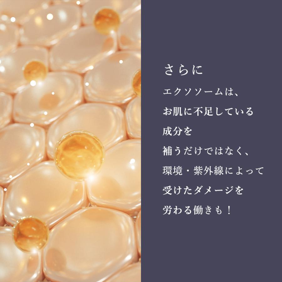 CELL CODE 初回限定 美容液 ヒト幹細胞 ヒト幹細胞培養液 エクソソーム 