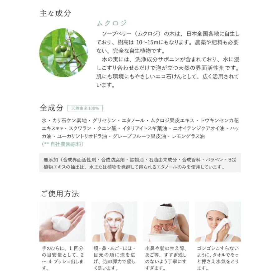 泡洗顔料 無添加 洗顔フォーム W洗顔不要 アミュセンス ベリーフォーム 150ｍL 洗顔＆クレンジング 毛穴 黒ずみ 角栓 保湿 時短 乾燥肌 敏感肌 30代 40代 50代 | ブランド登録なし | 02