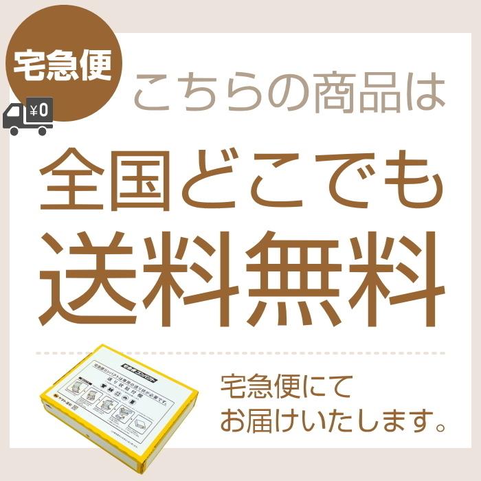 リニューアル 泡洗顔料 敏感肌 無添加 洗顔フォーム 泡 洗顔石鹸 乾燥肌 W洗顔不要 アミュセンス ベリーフォーム 150ｍL（洗顔＆クレンジング）毛穴 黒ずみ 角栓｜cellcode｜07