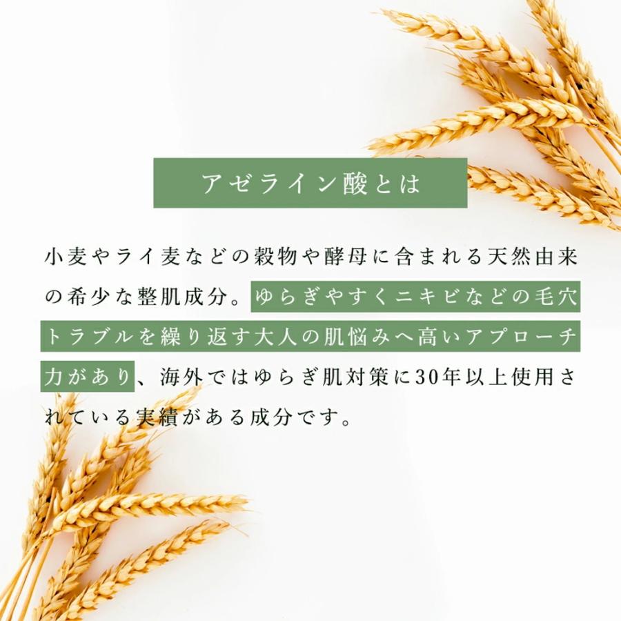 高濃度 アゼライン酸誘導体 グリシルグリシン 毛穴 凸凹 開き 肌荒れ 美容液 グリーンコスメ AZ バランシング モイスチャー エッセンス  30ｍL しっとり 乾燥肌 | ブランド登録なし | 04