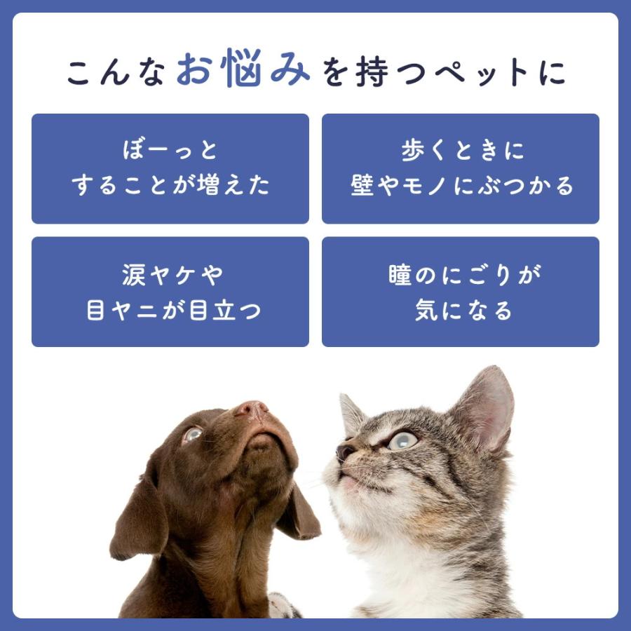 まとめ買い 犬 猫 サプリ くっきり瞳の健康維持に 美味しいレバー風味 犬用 猫用 サプリメント ルテイン 涙やけ ディアハグ フォーカスクリア 60粒×2袋 日本製 | ブランド登録なし | 02