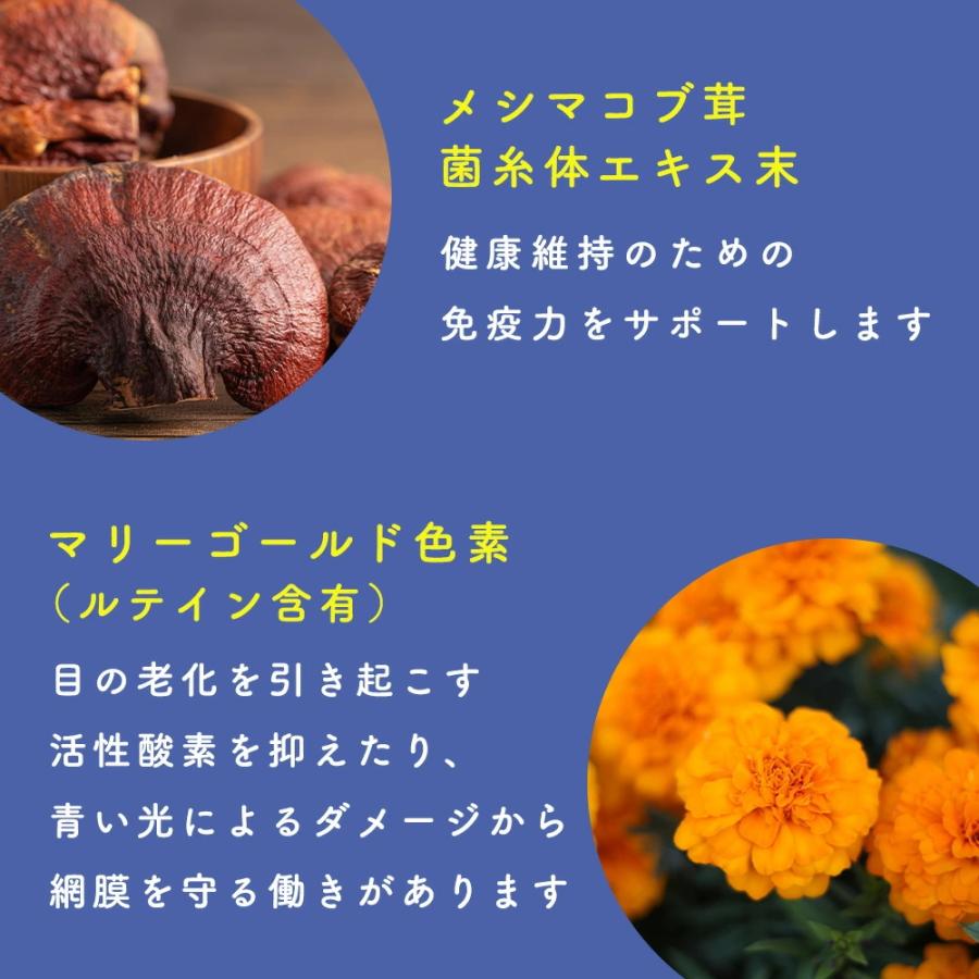 まとめ買い 犬 猫 サプリ くっきり瞳の健康維持に 美味しいレバー風味 犬用 猫用 サプリメント ルテイン 涙やけ ディアハグ フォーカスクリア 60粒×2袋 日本製 | ブランド登録なし | 04