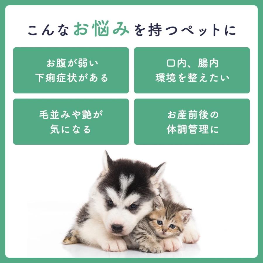 まとめ買い 犬 猫 サプリ 毎日の健康はお腹から 美味しいレバー風味 シニア 老犬 サプリメント 免疫 健康維持 ディアハグ リズミカルフローラ 60粒×2袋 日本製 | ブランド登録なし | 02