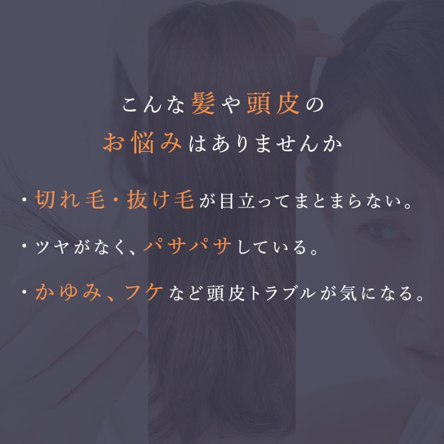 ヘアブラシ くし セルコード シャイニング ヘアケア ブラシ 絡まない ストレート くせ毛 うねり マッサージ 頭皮マッサージ シャンプーブラシ | CELL CODE | 02