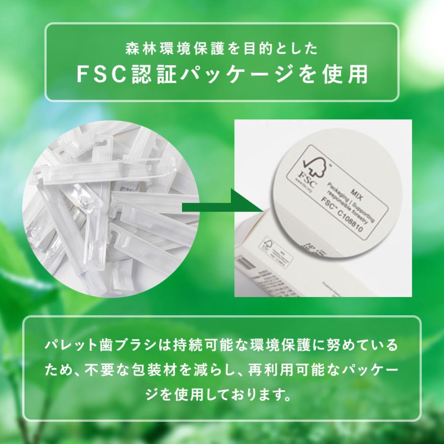 まとめ買い 韓国 歯ブラシ パレット ビビット 10カラー キャップ付き (歯ブラシ10本) 二重微細毛ブラシ 歯間 虫歯 口臭 ホワイトニング 美白 大人 子ども | ブランド登録なし | 07