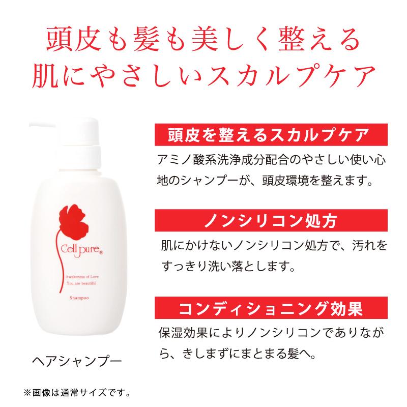 【ブランド公式】《殿堂入り》＜3本セット＞ セルピュア ノンシリコン シャンプー 大容量 1000ml ダメージヘア スカルプケア 頭皮 アミノ酸の画像