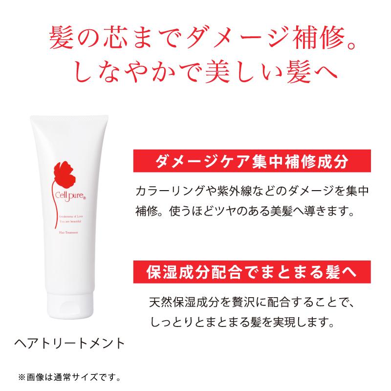 【ブランド公式】《殿堂入り》＜3本セット＞ セルピュア ノンシリコン シャンプー 大容量 1000ml ダメージヘア スカルプケア 頭皮 アミノ酸の画像