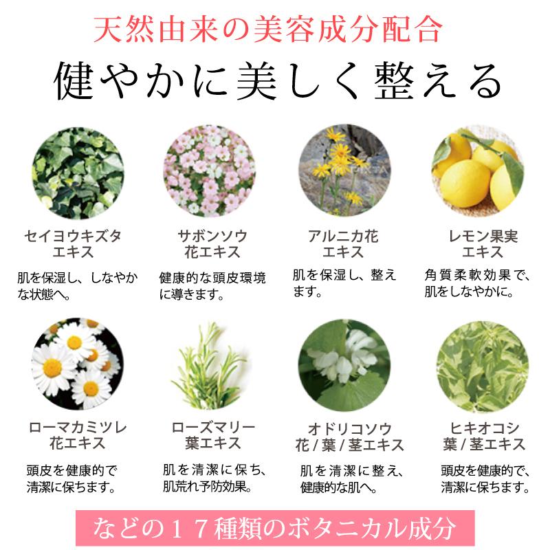 【ブランド公式】《殿堂入り》＜3本セット＞ セルピュア ノンシリコン シャンプー 大容量 1000ml ダメージヘア スカルプケア 頭皮 アミノ酸の画像