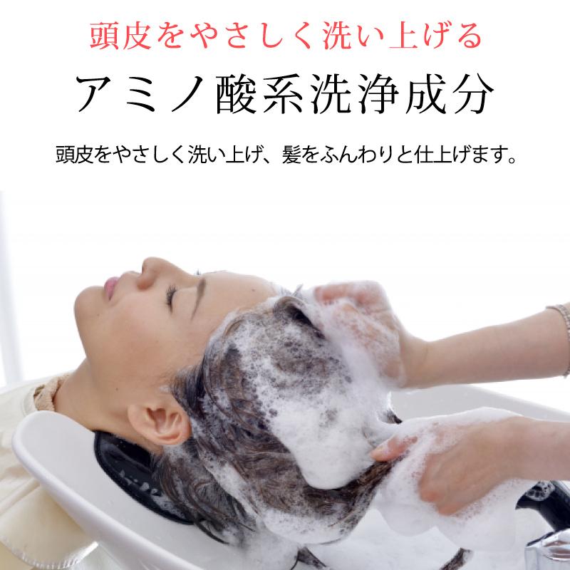 【ブランド公式】《殿堂入り》＜3本セット＞ セルピュア ノンシリコン シャンプー 大容量 1000ml ダメージヘア スカルプケア 頭皮 アミノ酸の画像