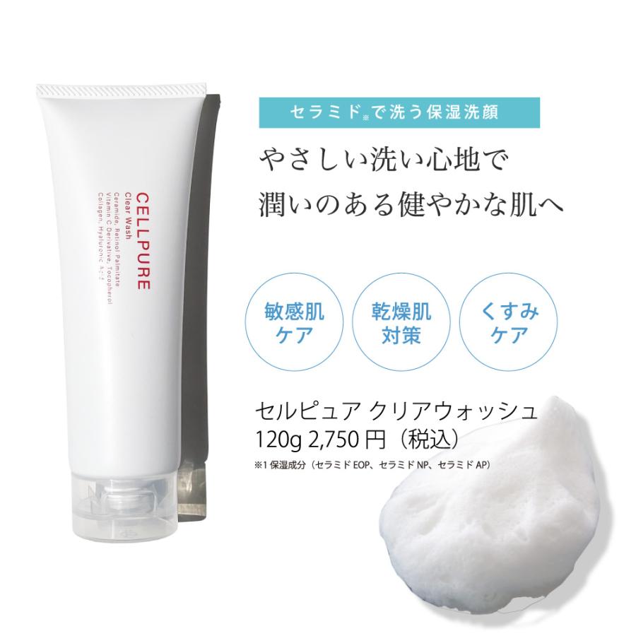 Pure Rupishel 洗顔料 120g ピュアルピシェル日本リンパ美容学院 Pure Rupishel 洗顔料 120g ピュアルピシェル日本リンパ美容学院