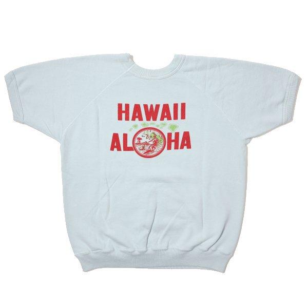 WAREHOUSE（ウエアハウス） Lot 4084 半袖SW HAWAII ALOHA セコハン