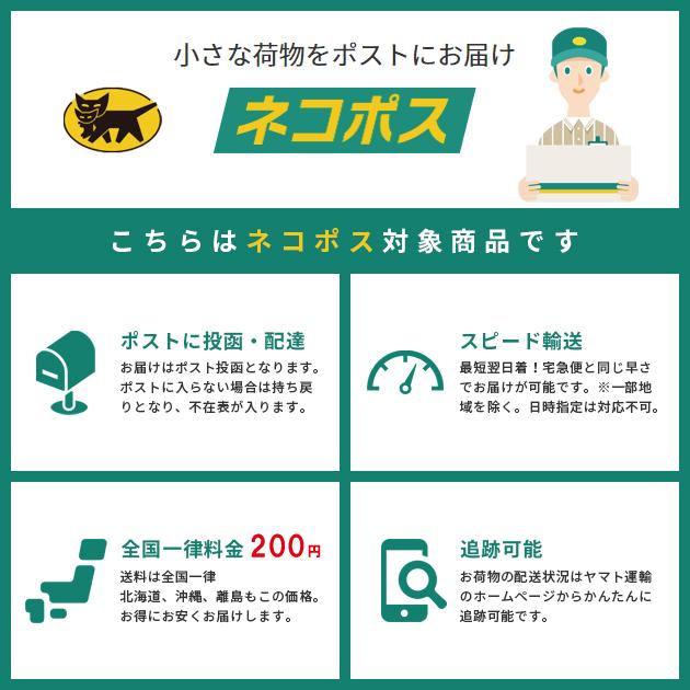 [ネコポス送料200円]インセプション 真鍮キーホルダー INCEPTION Fフォールカラビナキーホルダー IPK-02 |  | 01