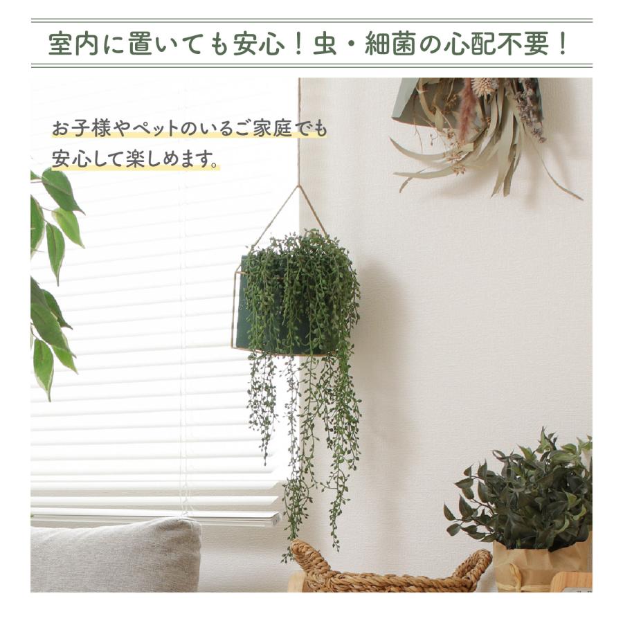 フェイクグリーン グリーンネックレス ハンギング グリーンライフ 室内ガーデン 観葉植物 人工植物 水やり不要 手入れ簡単 リラックス空間 吊り下げタイプ｜cellutane-s｜08