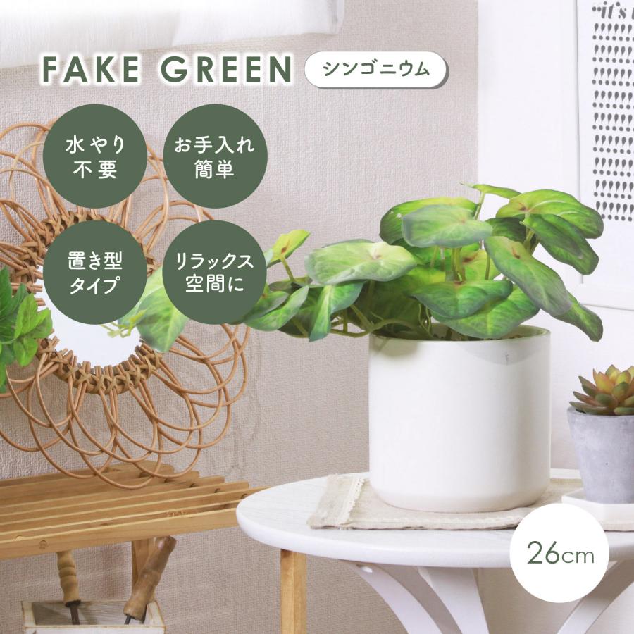 不二貿易（Fuji Boeki） フェイクグリーン シンゴニウム セラミック