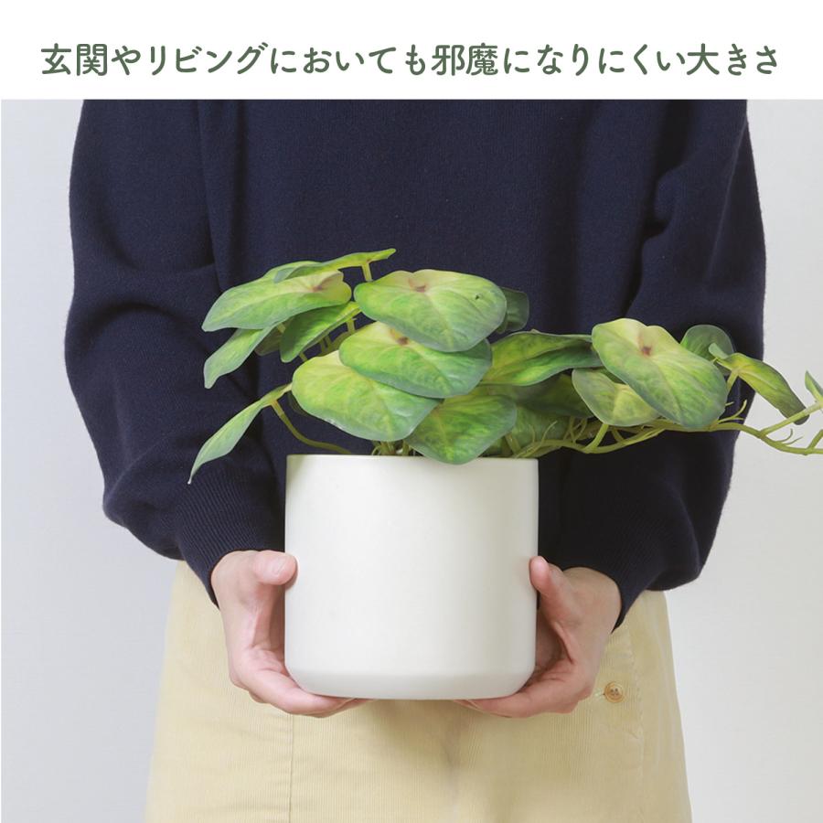 不二貿易（Fuji Boeki） フェイクグリーン シンゴニウム セラミック
