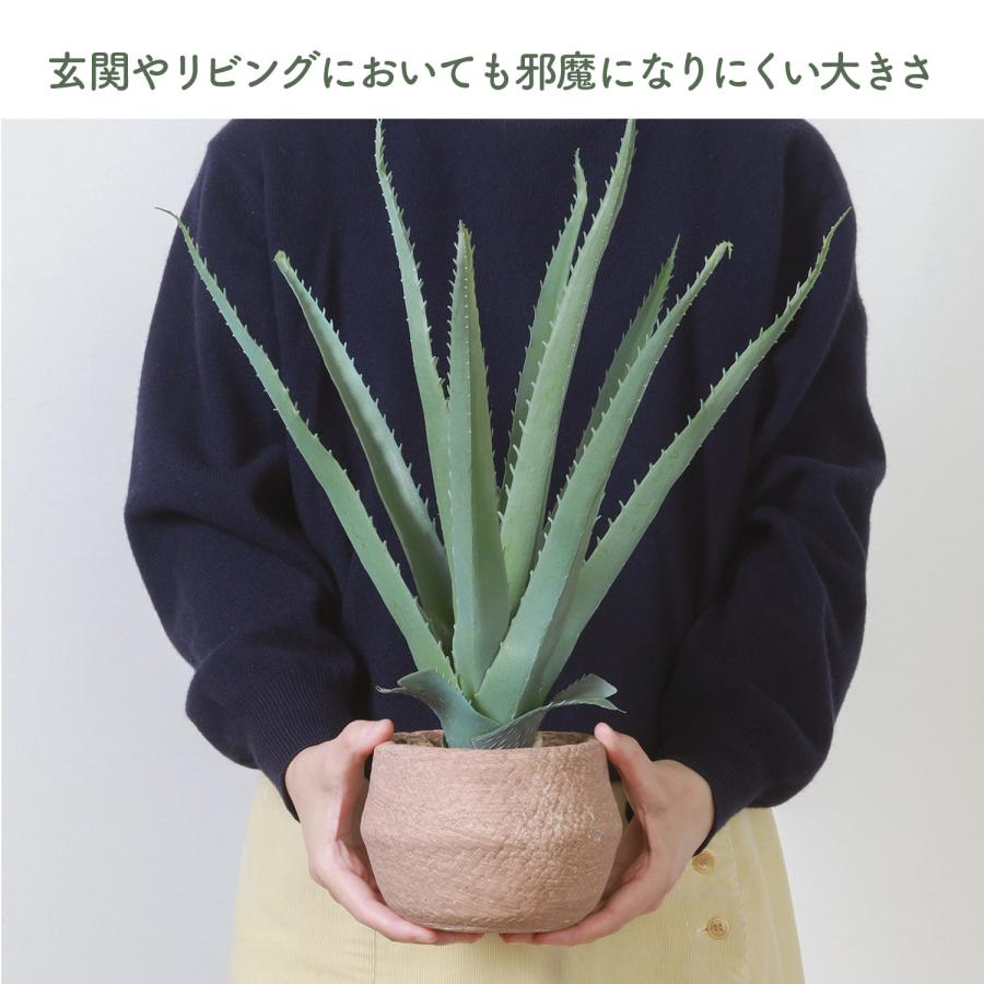 フェイクグリーン アロエS セメントポット グリーンライフ 室内ガーデン 観葉植物 人工植物 水やり不要 手入れ簡単 リラックス空間 置き型タイプ｜cellutane-s｜06