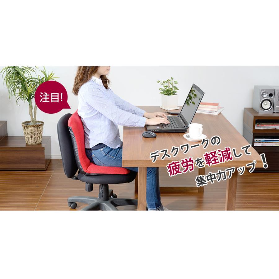 セルタン 座椅子 腰痛防止 おしゃれ Mサイズ コンパクト 座椅子 
