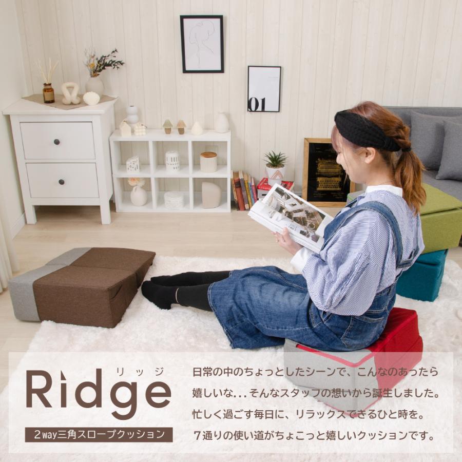 セルタン 三角クッション クッション 背もたれ 三角 カバー洗濯