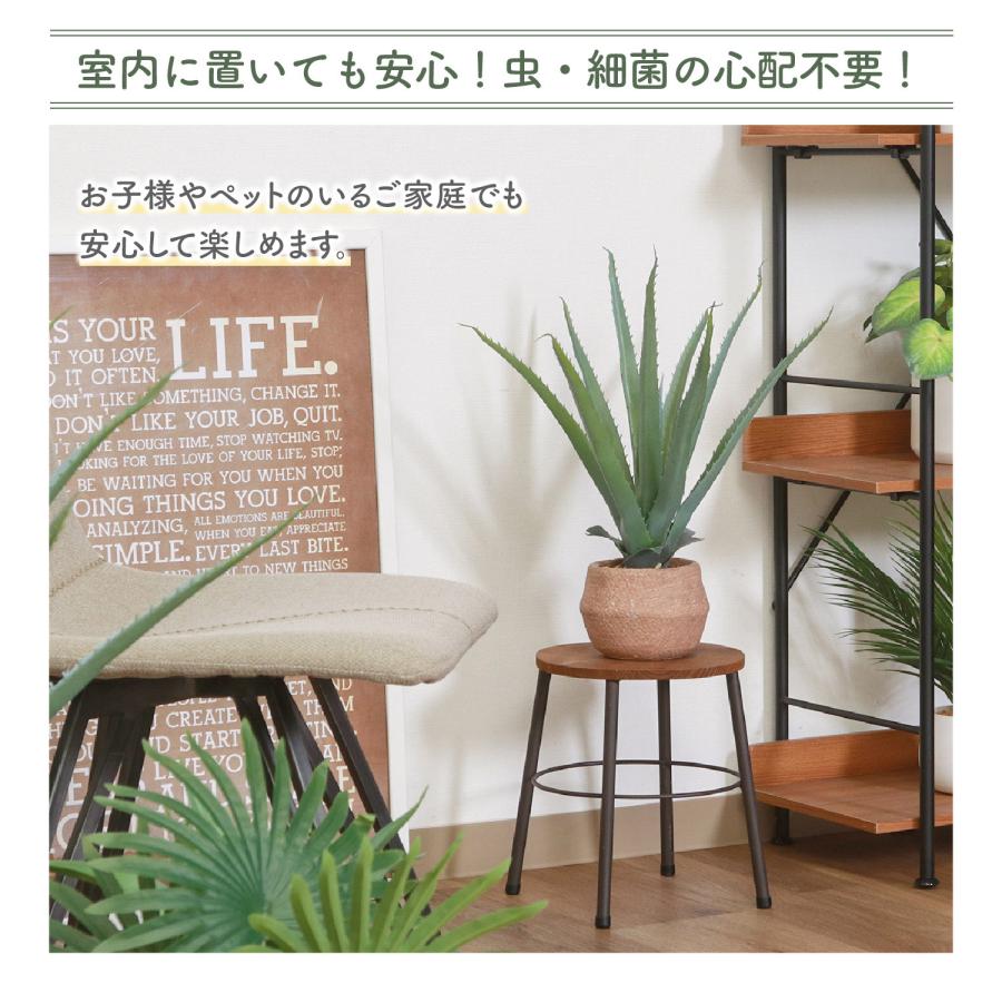 フェイクグリーン アロエS セメントポット グリーンライフ 室内