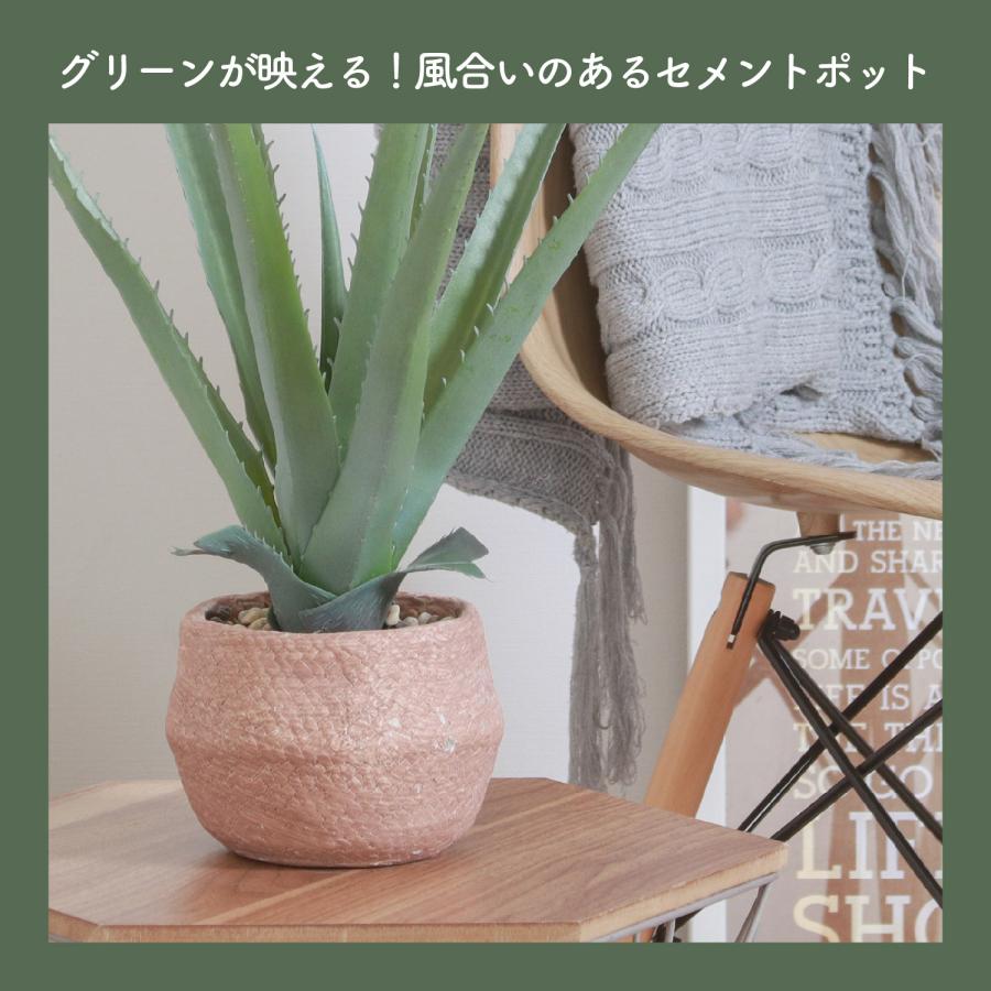 フェイクグリーン アロエS セメントポット グリーンライフ 室内