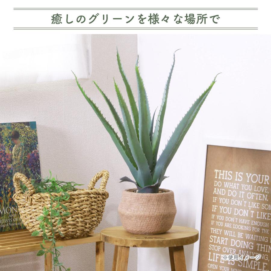 フェイクグリーン アロエS セメントポット グリーンライフ 室内 