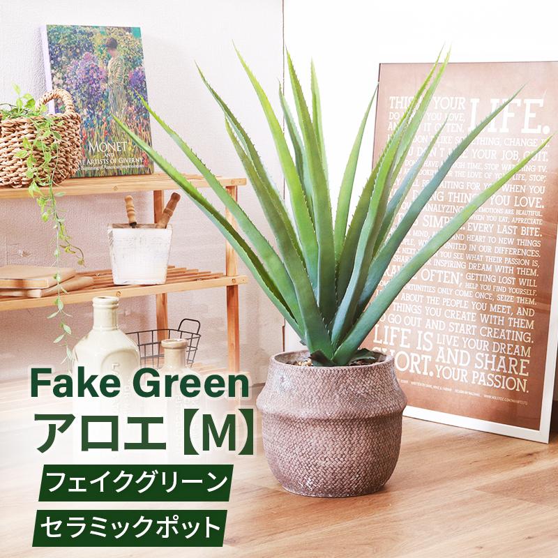 フェイクグリーン アロエM セメントポット グリーンライフ 室内