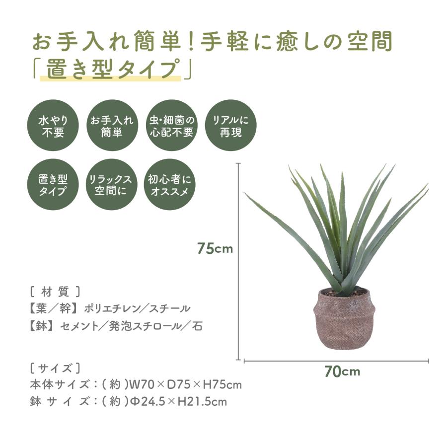 フェイクグリーン アロエM セメントポット グリーンライフ 室内