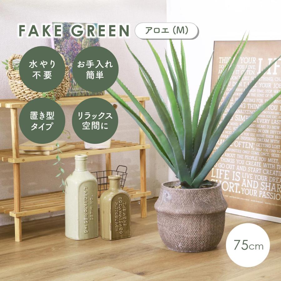 フェイクグリーン アロエ M セメントポット フェイクグリーン アロエM セメントポット グリーンライフ 室内