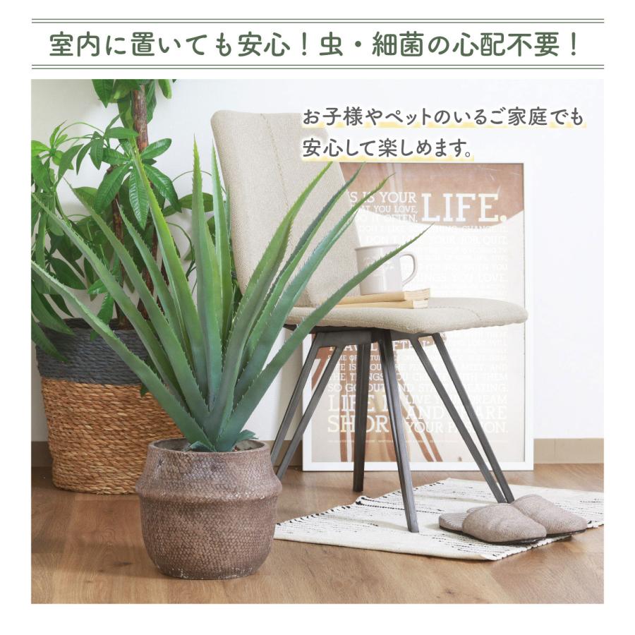 フェイクグリーン アロエM セメントポット グリーンライフ 室内