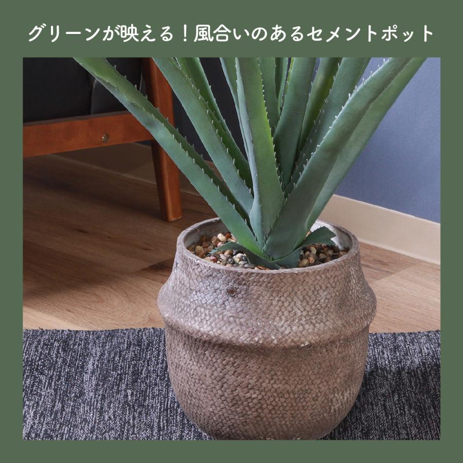 フェイクグリーン アロエM セメントポット グリーンライフ 室内