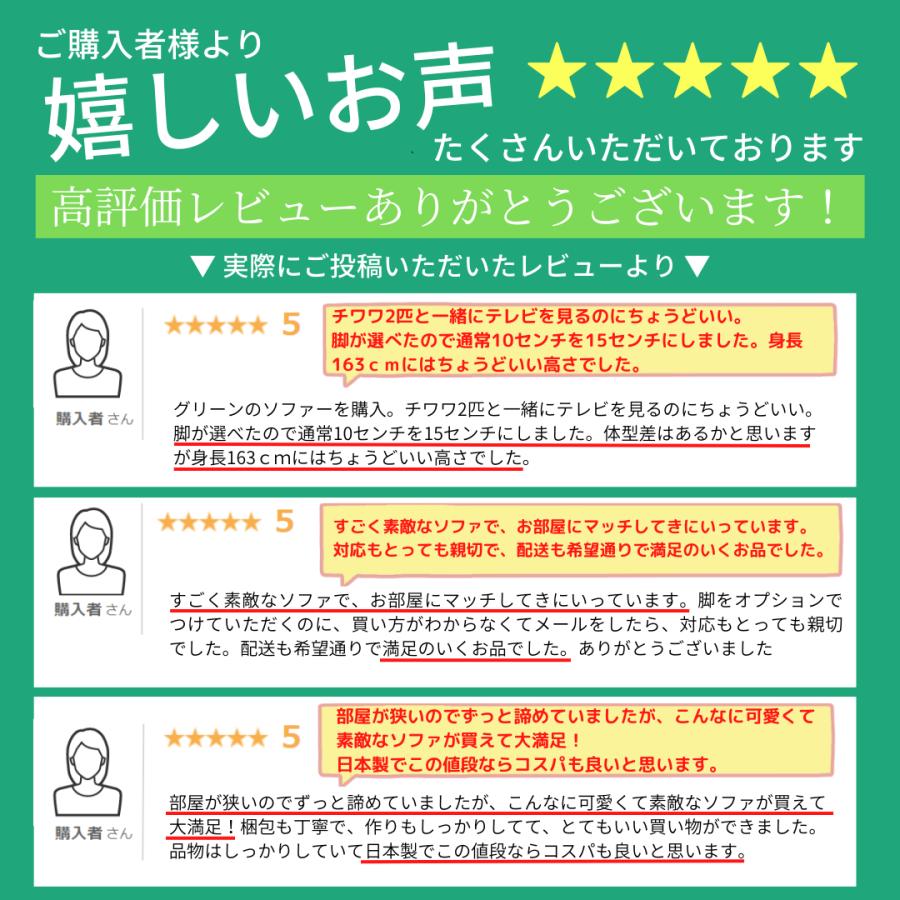 ソファ ソファー コンパクト 座面やわらかめ 2人掛け かわいい ローソファ チェア 一人暮らし リクライニング 大人かわいい ミニソファ SUICA mini A615 日本製の画像