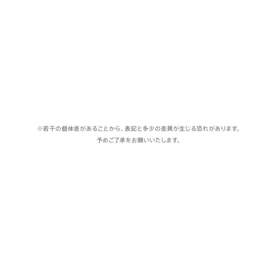 不二貿易（Fuji Boeki） アウトドア キャンプテーブル レジャー
