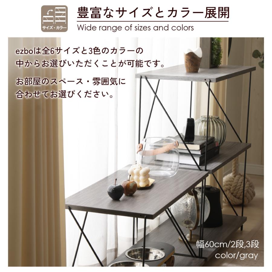 不二貿易（Fuji Boeki） ezbo イジボ ラック ワイヤーラック 幅40cm 2